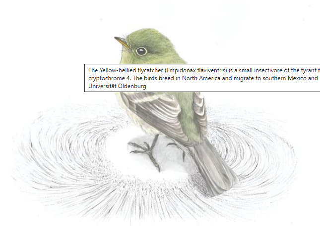 屏幕截图 2025-11-30 225350.png