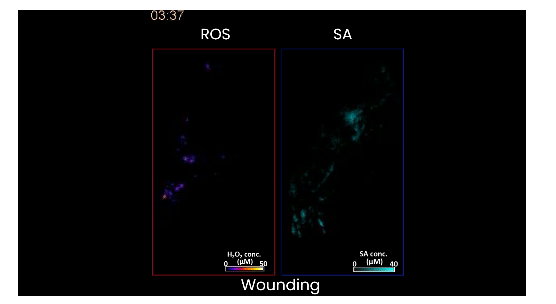 屏幕截图 2025-11-30 230015.png